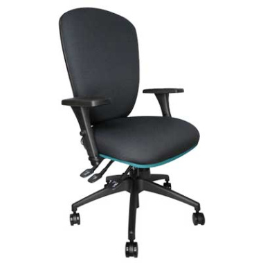 Dura Ergonomic Task Office Chair